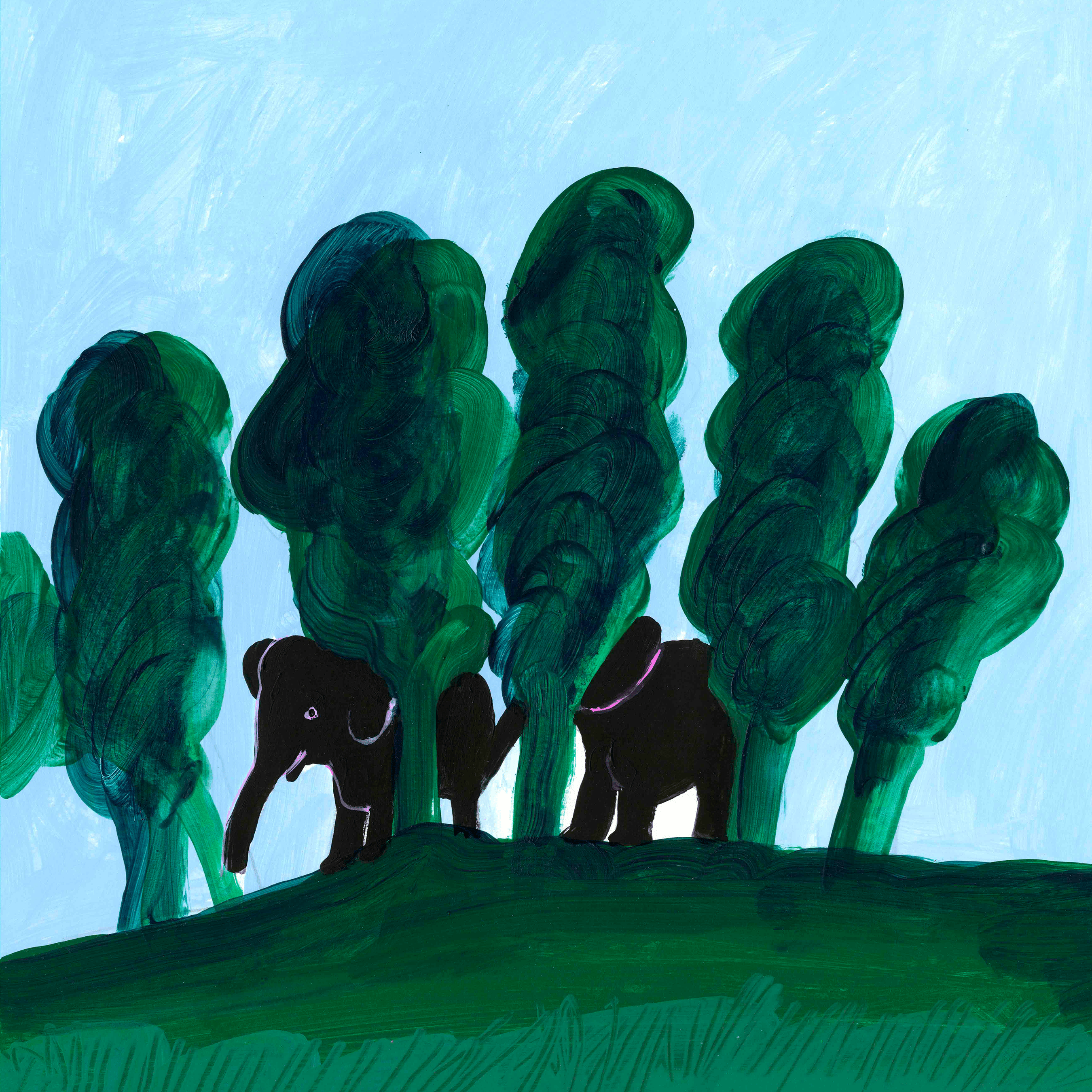 Hvor er elefanterne?