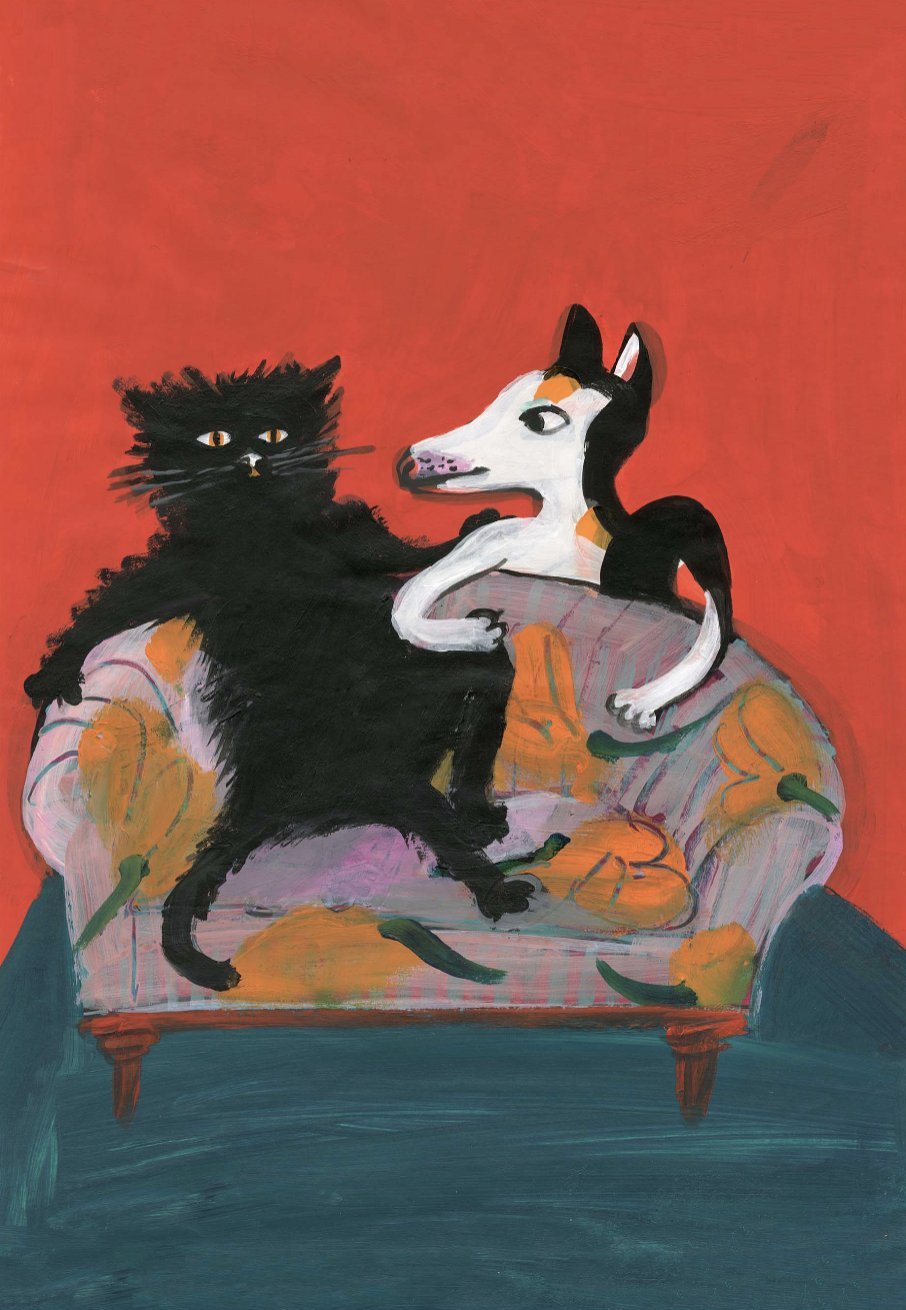 Farverige favoritter