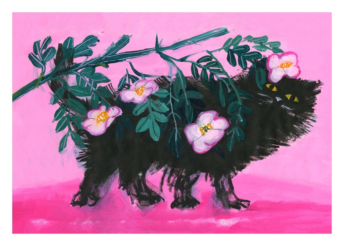 Pimme under roserne plakat af Thomas Winding – farverig katteplakat med roser, kunst til hjemmet.