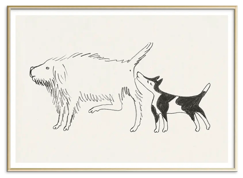 #Ramme_Messing Aluminium