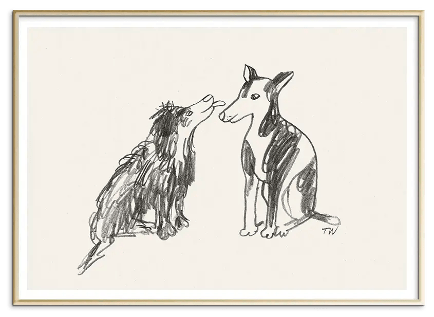 #Ramme_Messing Aluminium