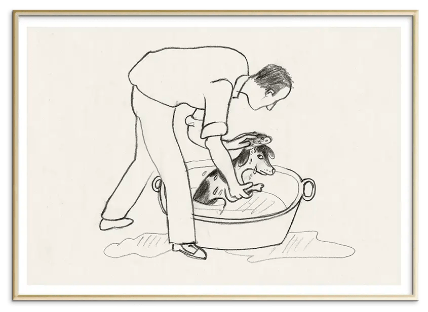 #Ramme_Messing Aluminium