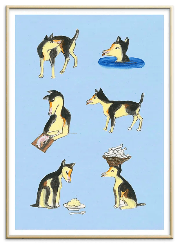 #Ramme_Messing Aluminium