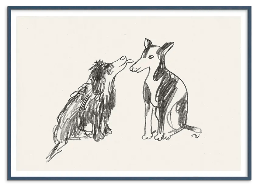 #Ramme_Teal Petroleum Træ