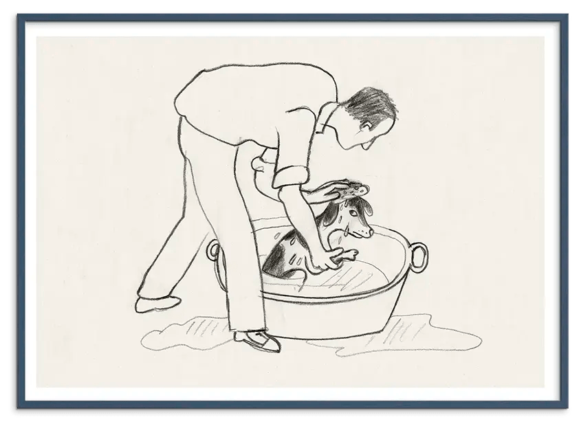 #Ramme_Teal Petroleum Træ