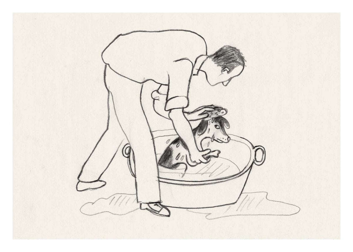 BadeMester plakat af Thomas Winding – sjov hund i badet, børneplakat fra Min lille hund Mester og andre Dyr.